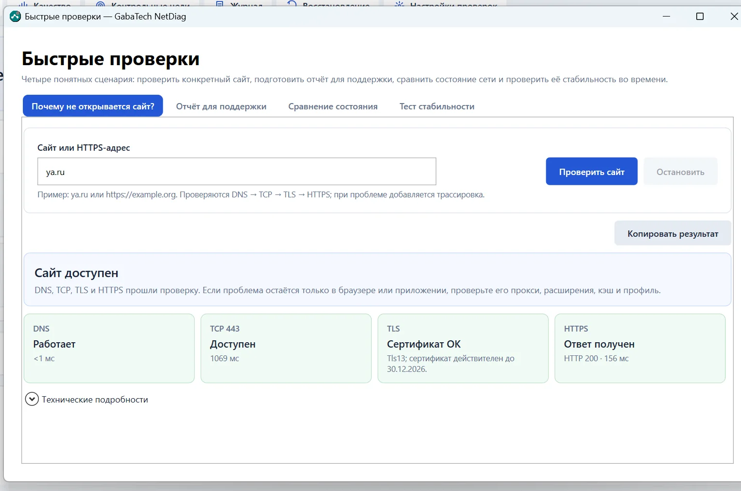 Быстрая проверка сайта в GabaTech NetDiag с результатами DNS, TCP 443, TLS-сертификата и HTTPS